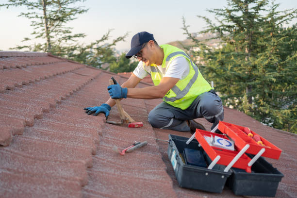 Best Storm Damage Roof Repair  in Byron, MN