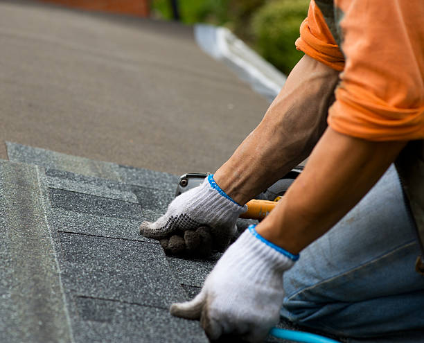 Best Roof Leak Repair  in Byron, MN